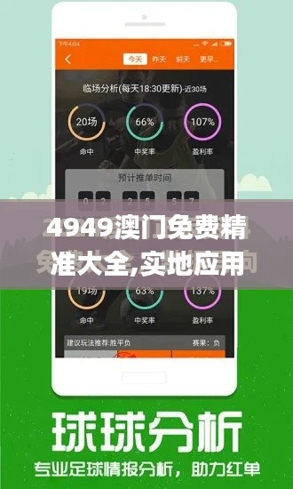 4949澳门免费精准大全,实地应用验证数据_Galaxy1.250