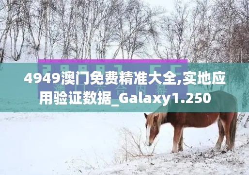 4949澳门免费精准大全,实地应用验证数据_Galaxy1.250