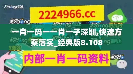 一肖一码一一肖一子深圳,快速方案落实_经典版8.108