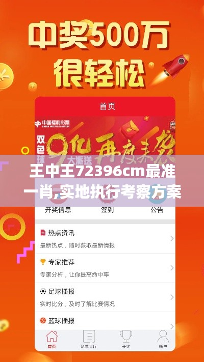 王中王72396cm最准一肖,实地执行考察方案_苹果款5.861