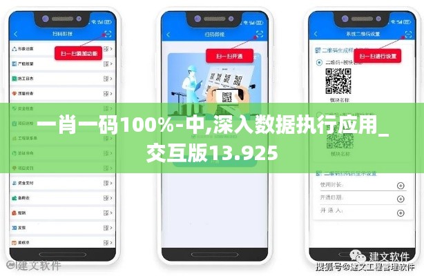 一肖一码100%-中,深入数据执行应用_交互版13.925
