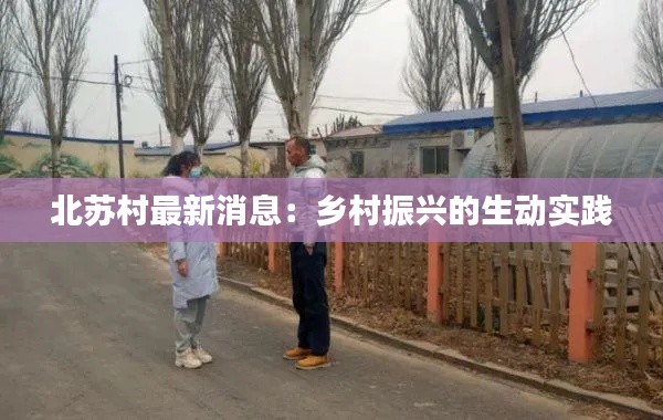 北苏村最新消息:乡村振兴的生动实践