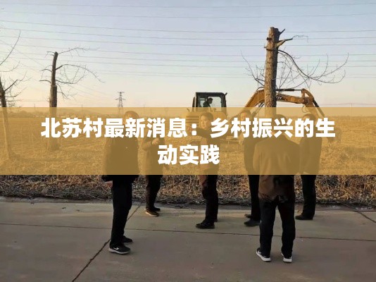 北苏村最新消息:乡村振兴的生动实践