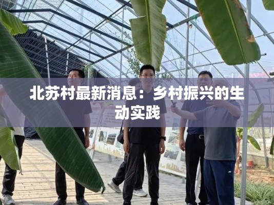 北苏村最新消息:乡村振兴的生动实践