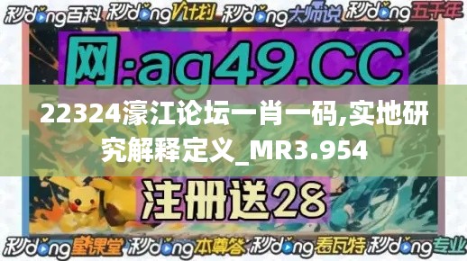 22324濠江论坛一肖一码,实地研究解释定义_MR3.954