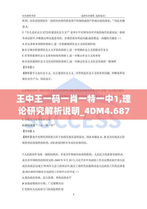 王中王一码一肖一特一中1,理论研究解析说明_4DM4.687