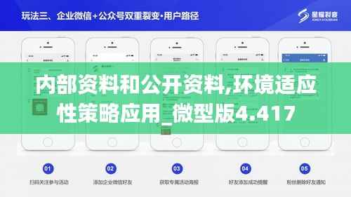 内部资料和公开资料,环境适应性策略应用_微型版4.417