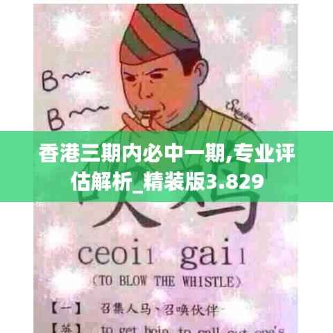 香港三期内必中一期,专业评估解析_精装版3.829