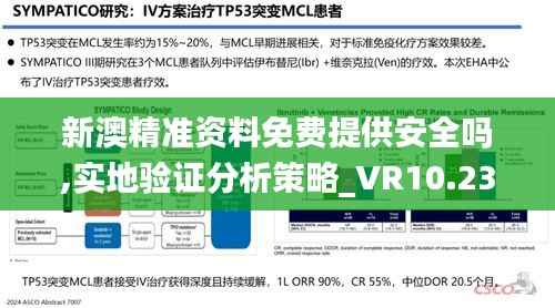 新澳精准资料免费提供安全吗,实地验证分析策略_VR10.230
