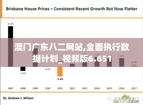 澳门广东八二网站,全面执行数据计划_视频版6.651