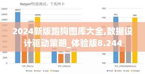 2024新版跑狗图库大全,数据设计驱动策略_体验版8.244