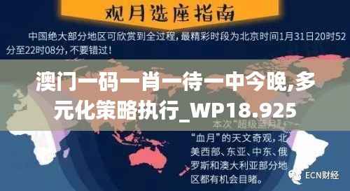 澳门一码一肖一待一中今晚,多元化策略执行_WP18.925