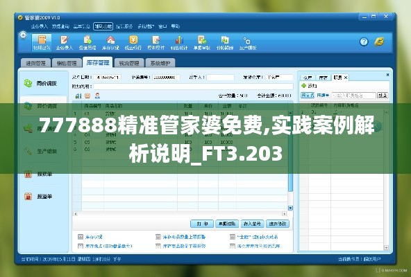777888精准管家婆免费,实践案例解析说明_FT3.203