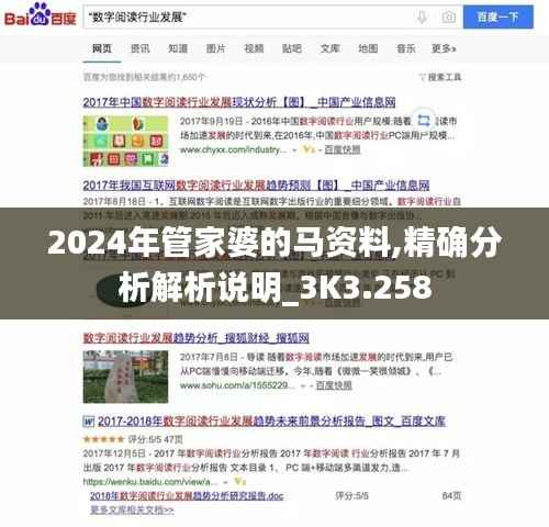 2024年管家婆的马资料,精确分析解析说明_3K3.258