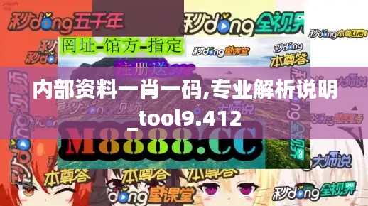 内部资料一肖一码,专业解析说明_tool9.412