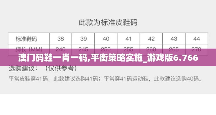 澳门码鞋一肖一码,平衡策略实施_游戏版6.766