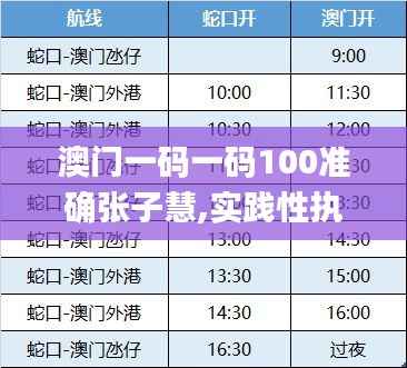 澳门一码一码100准确张子慧,实践性执行计划_Hybrid8.839