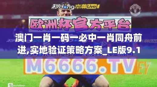 澳门一肖一码一必中一肖同舟前进,实地验证策略方案_LE版9.181