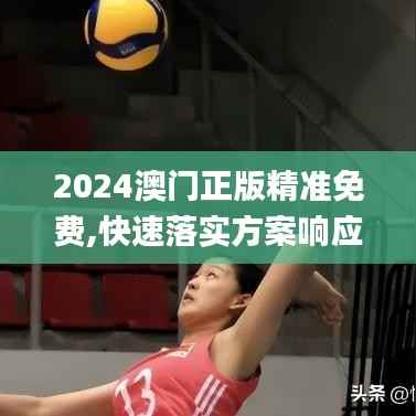 2024澳门正版精准免费,快速落实方案响应_MP3.128