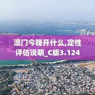 澳门今晚开什么,定性评估说明_C版3.124