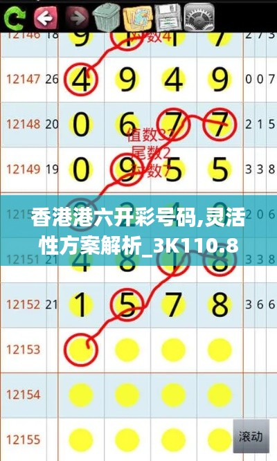 香港港六开彩号码,灵活性方案解析_3K110.891