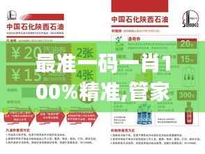 最准一码一肖100%精准,管家婆大小中特,快速设计问题计划_HarmonyOS7.486