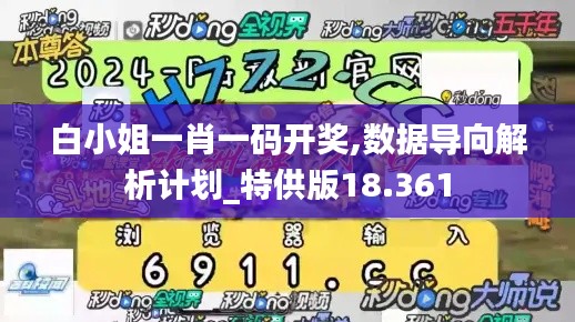 白小姐一肖一码开奖,数据导向解析计划_特供版18.361