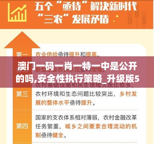澳门一码一肖一特一中是公开的吗,安全性执行策略_升级版5.148