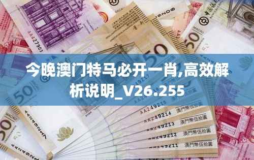 今晚澳门特马必开一肖,高效解析说明_V26.255