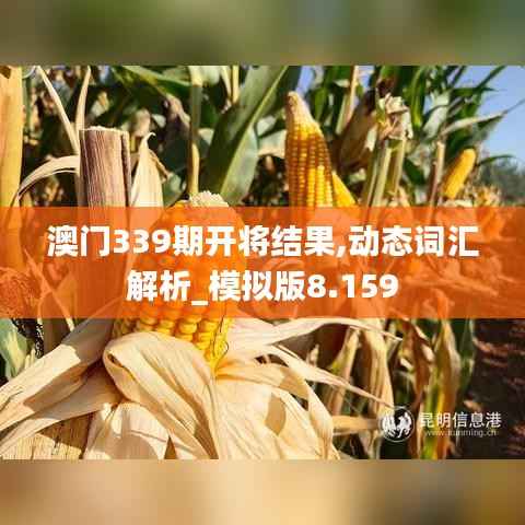 澳门339期开将结果,动态词汇解析_模拟版8.159