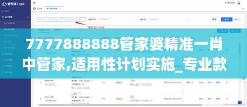 7777888888管家婆精准一肖中管家,适用性计划实施_专业款10.384
