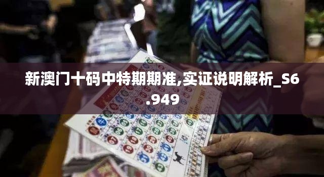 新澳门十码中特期期准,实证说明解析_S6.949