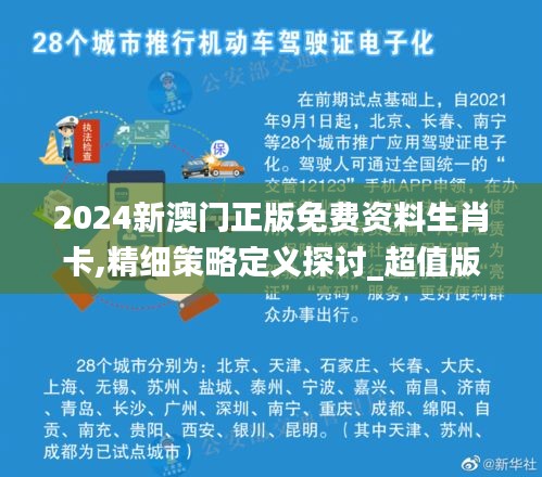 2024新澳门正版免费资料生肖卡,精细策略定义探讨_超值版13.225