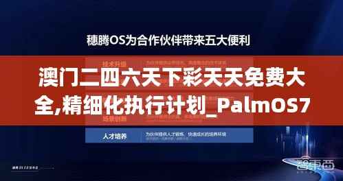 澳门二四六天下彩天天免费大全,精细化执行计划_PalmOS7.382