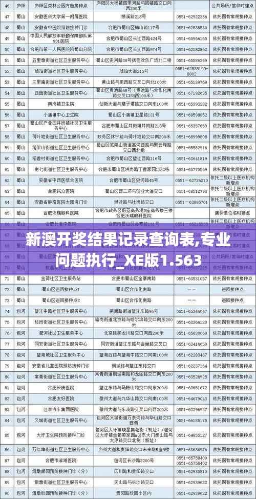 新澳开奖结果记录查询表,专业问题执行_XE版1.563