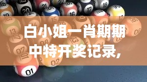 白小姐一肖期期中特开奖记录,国产化作答解释定义_Phablet13.165