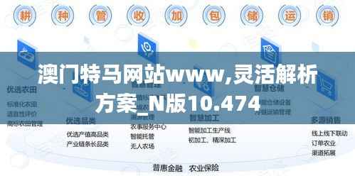 澳门特马网站www,灵活解析方案_N版10.474