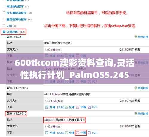 600tkcom澳彩资料查询,灵活性执行计划_PalmOS5.245