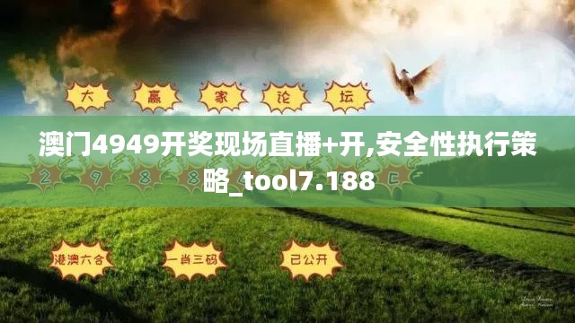 澳门4949开奖现场直播+开,安全性执行策略_tool7.188