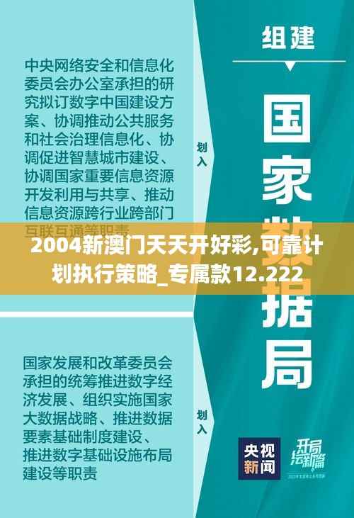 2004新澳门天天开好彩,可靠计划执行策略_专属款12.222