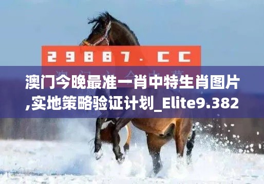 澳门今晚最准一肖中特生肖图片,实地策略验证计划_Elite9.382