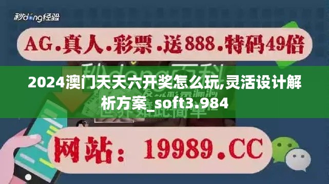 2024澳门天天六开奖怎么玩,灵活设计解析方案_soft3.984