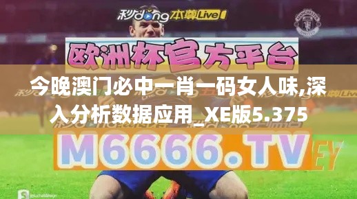 今晚澳门必中一肖一码女人味,深入分析数据应用_XE版5.375