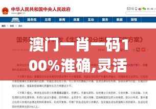 澳门一肖一码100%淮确,灵活性计划实施_网页版7.816