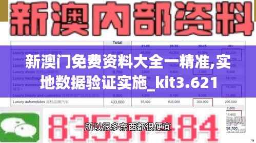 新澳门免费资料大全一精准,实地数据验证实施_kit3.621