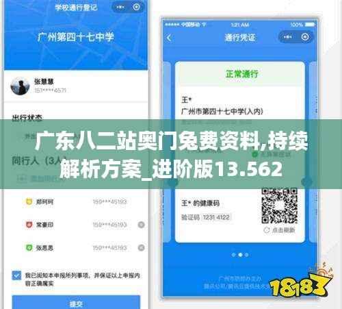 广东八二站奥门兔费资料,持续解析方案_进阶版13.562