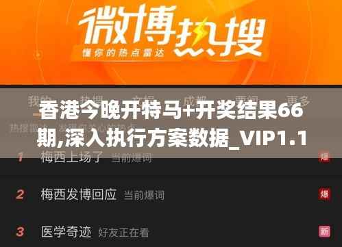 香港今晚开特马+开奖结果66期,深入执行方案数据_VIP1.189