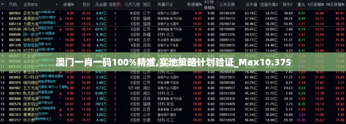 澳门一肖一码100%精准,实地策略计划验证_Max10.375