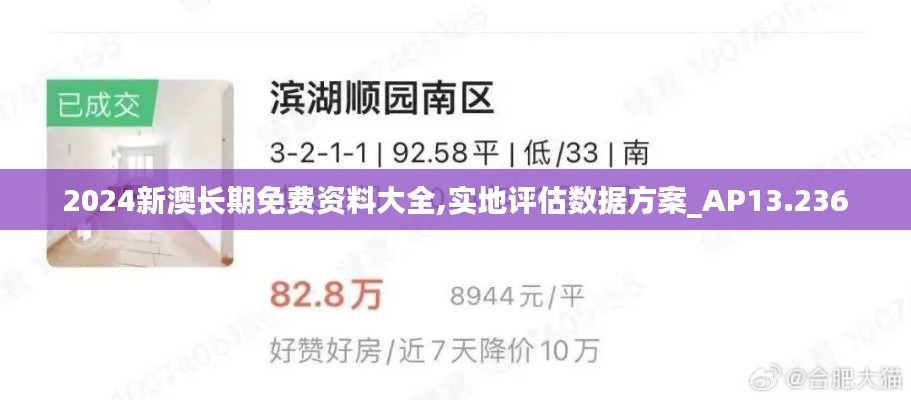 2024新澳长期免费资料大全,实地评估数据方案_AP13.236