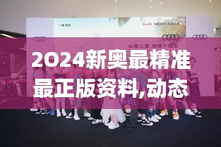 2O24新奥最精准最正版资料,动态分析解释定义_冒险版7.506